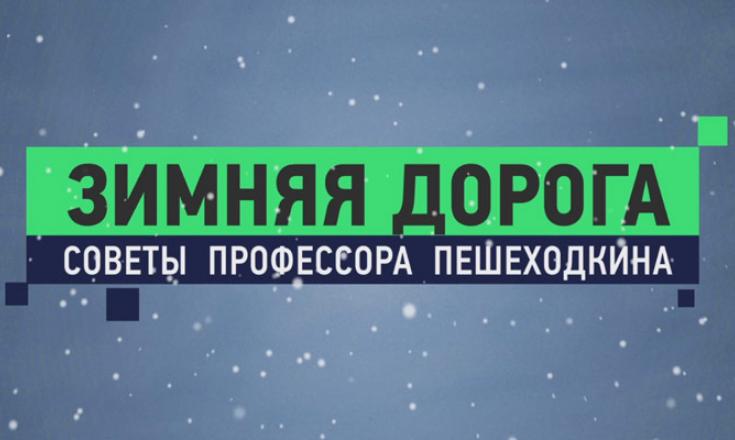 Профессор Пешеходкин - Зимняя дорога